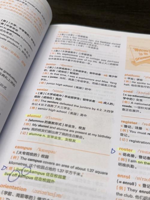 在线雅思培训课哪个好